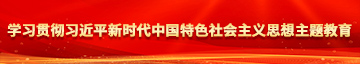 啊哈不要艹死你学习贯彻习近平新时代中国特色社会主义思想主题教育