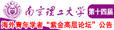 肏少女的逼南京理工大学第十四届海外青年学者紫金论坛诚邀海内外英才！